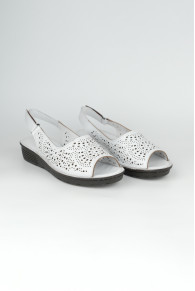 3100-1-05 WHITE (2026)