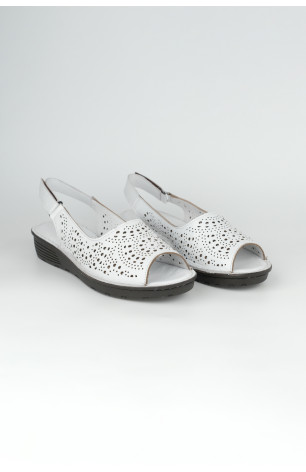 3100-1-05 WHITE (2026)