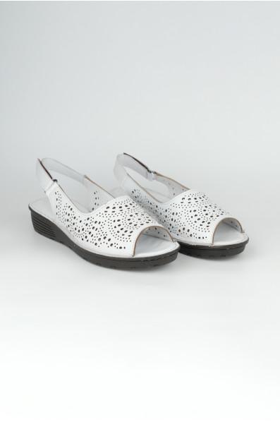 3100-1-05 WHITE (2026)