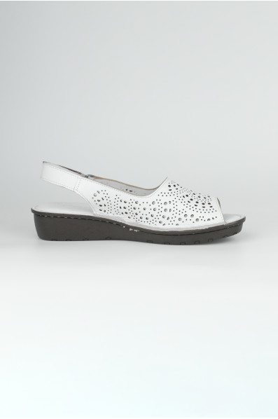 3100-1-05 WHITE (2026)