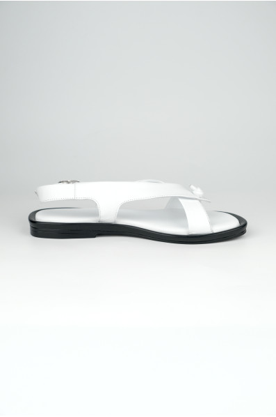 10031-1-106 WHITE (26)