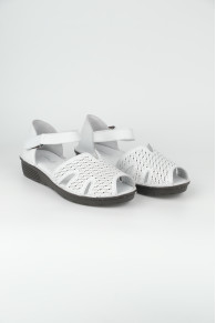 3111-1-05 WHITE (2026)