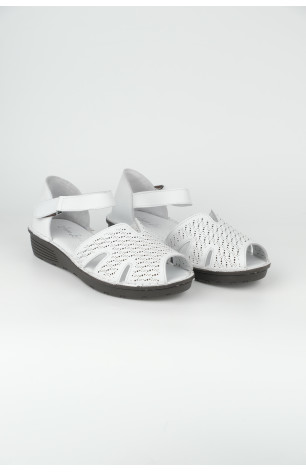 3111-1-05 WHITE (2026)