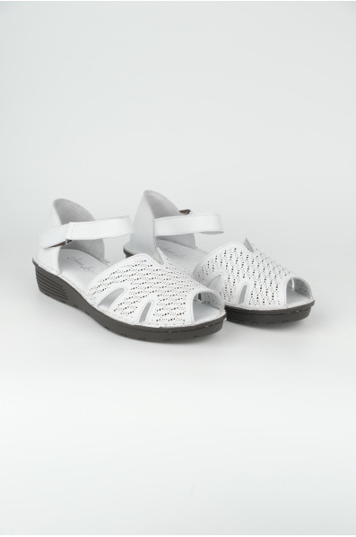 3111-1-05 WHITE (2026)