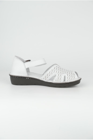 3111-1-05 WHITE (2026)