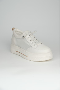 Кросівки 211323