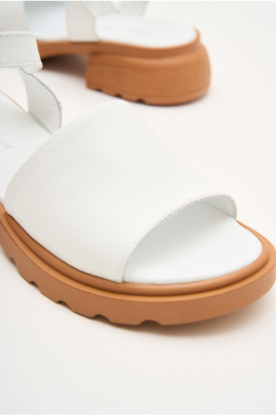 Босоножки Anna Lucci 179423