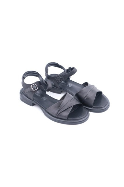 Новая коллекция 207784