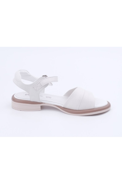 Новая коллекция 207786