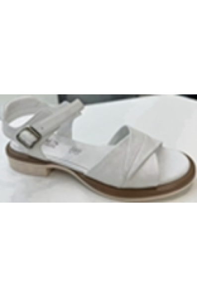 Новая коллекция 207786