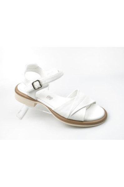 Новая коллекция 207786